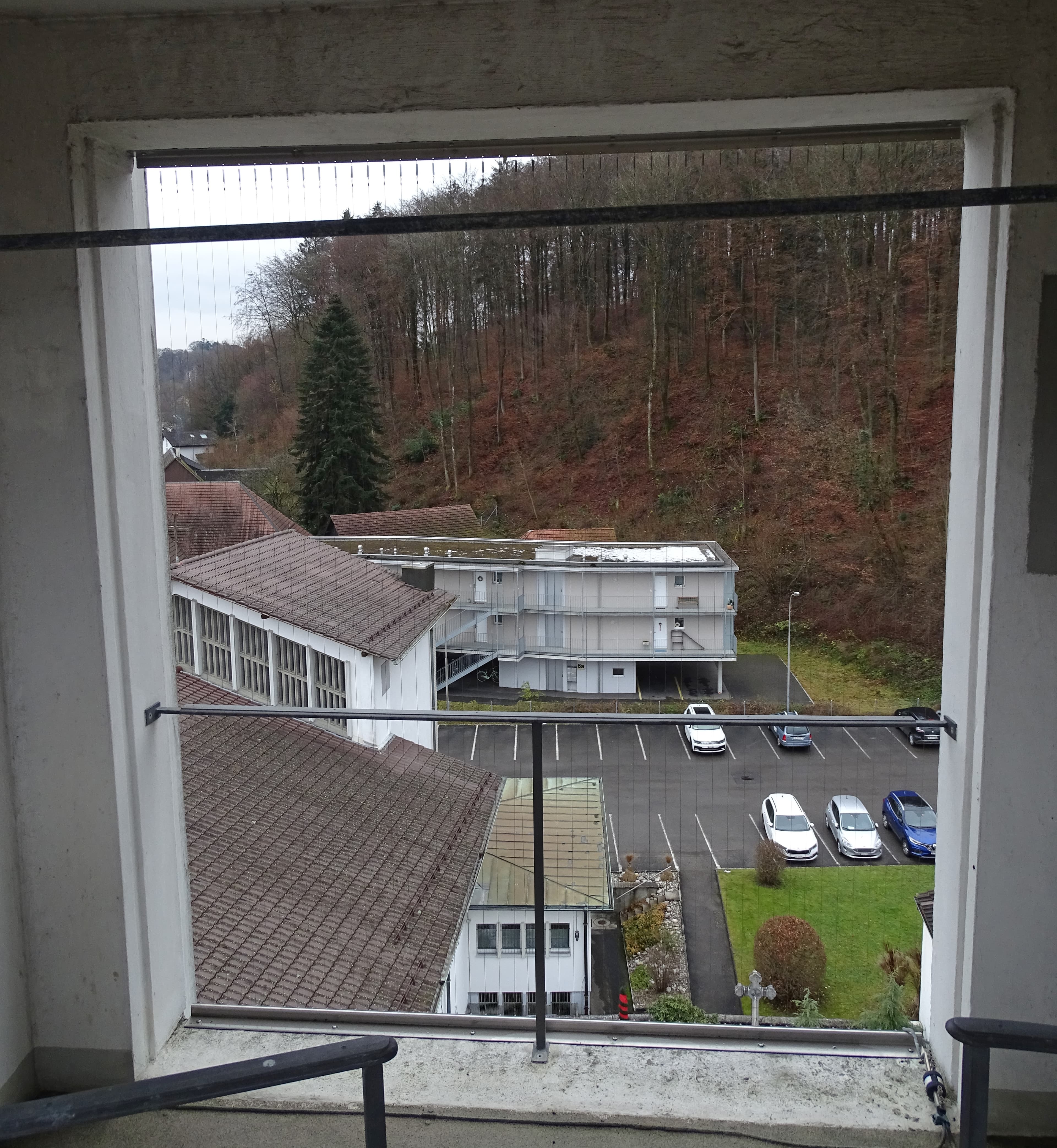 Taubenschutz 1