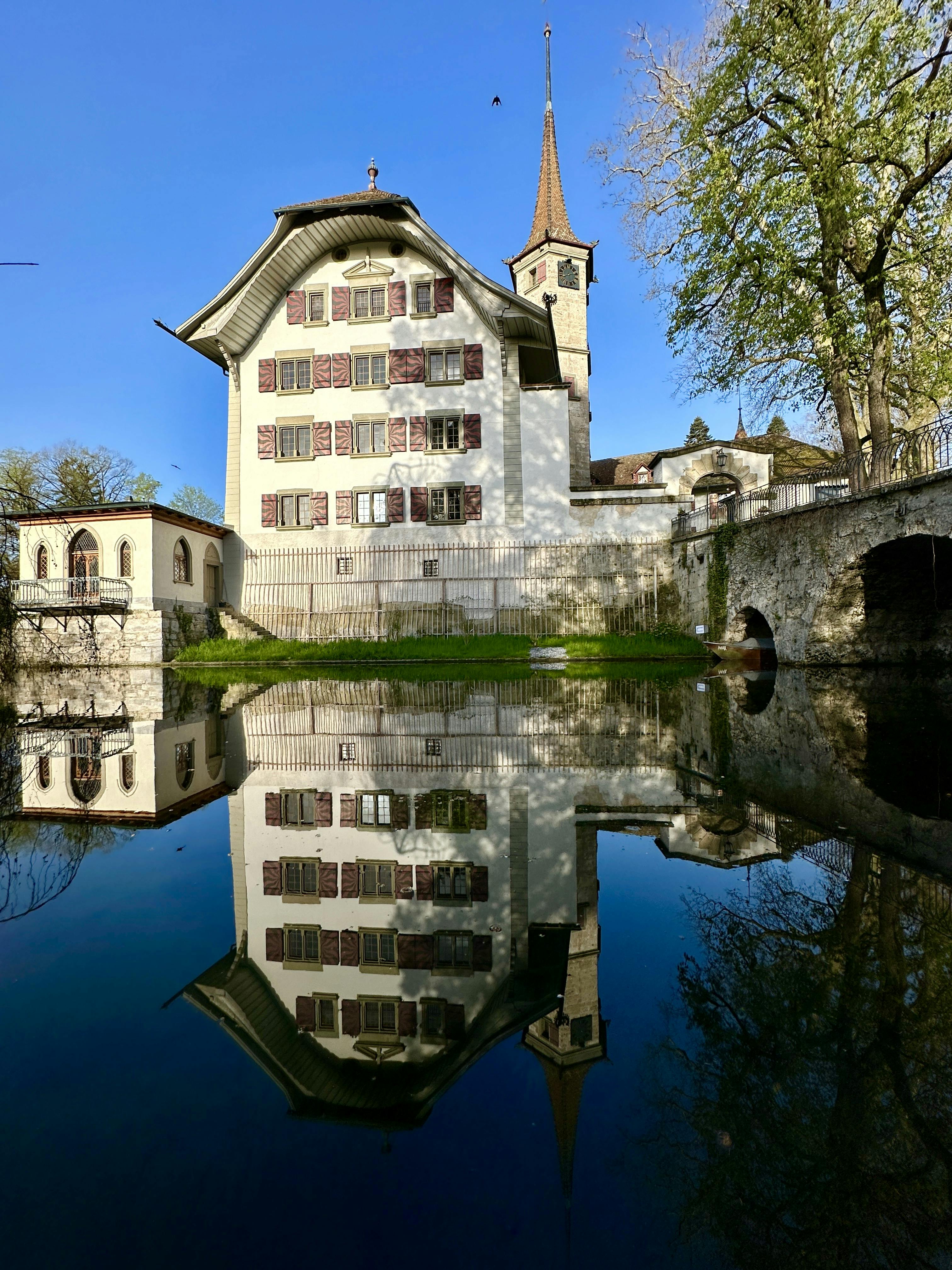 Landshut Schloss Spiegelbild hoch